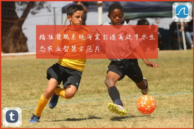 精准灌溉系统海棠打造高效节水生态农业智慧示范片