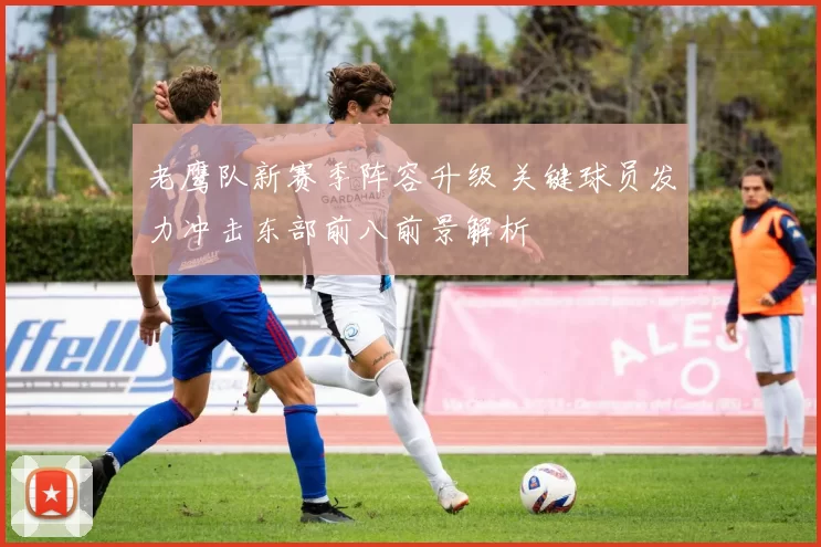 老鹰队新赛季阵容升级 关键球员发力冲击东部前八前景解析